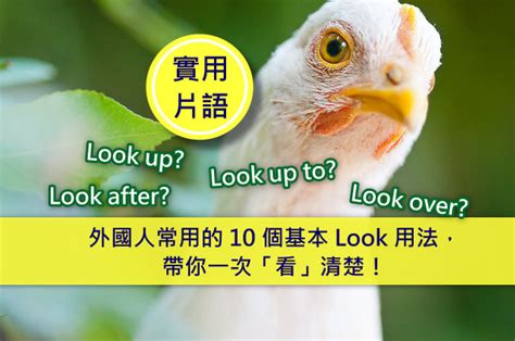 看向|外国人常用的 10 个基本 Look 用法，带你一次「看」清楚